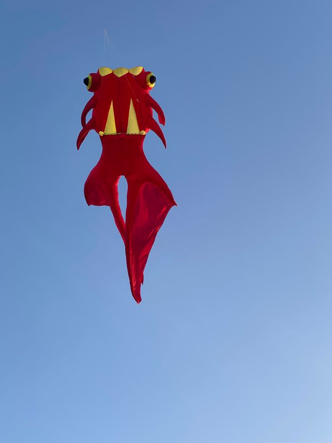 Eine Krabbe?