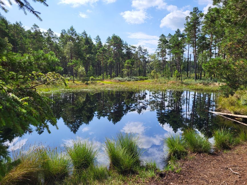 Store Mosse Nationalpark