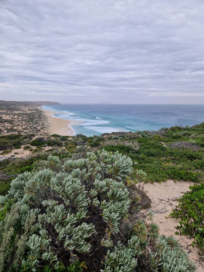 Viewpoint at the lighthouse in Dhilba Guuranda-Innes National Park