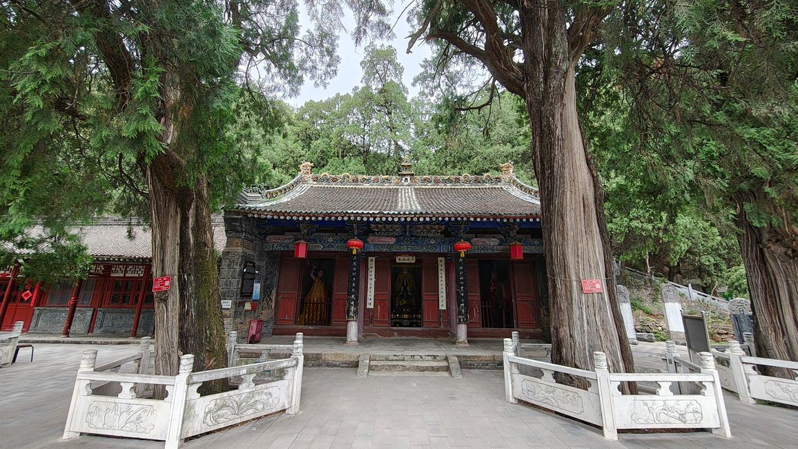 Tempio di Taigong con cipressi di 1300 anni
