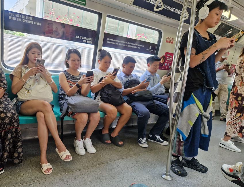 Das Handy ist immer und überall