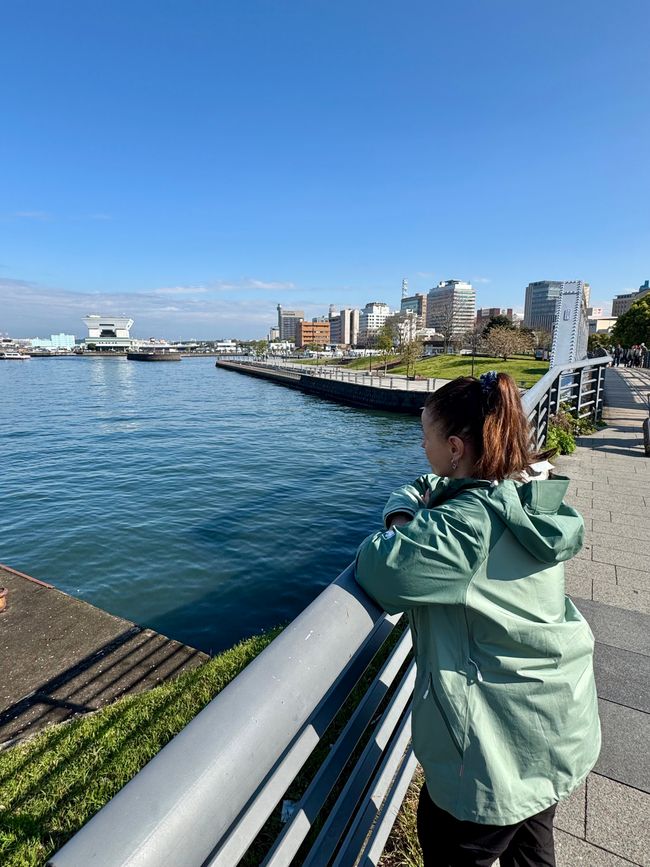 Parte 7
BENVENUTO IN GIAPPONE 🇯🇵
TOKYO