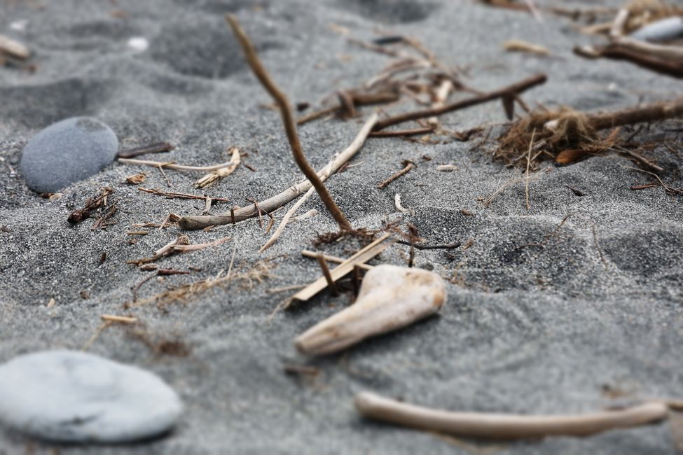 An der West Coast weiter Richtung Süden