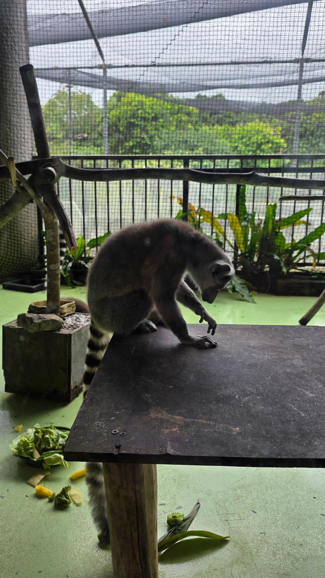 Okinawa Nuchi du takara (Life is the very thing we treasure)