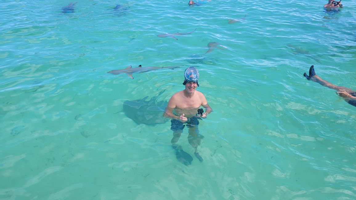 Esnórquel con raya y tiburones en el agua turquesa frente a Bora Bora.