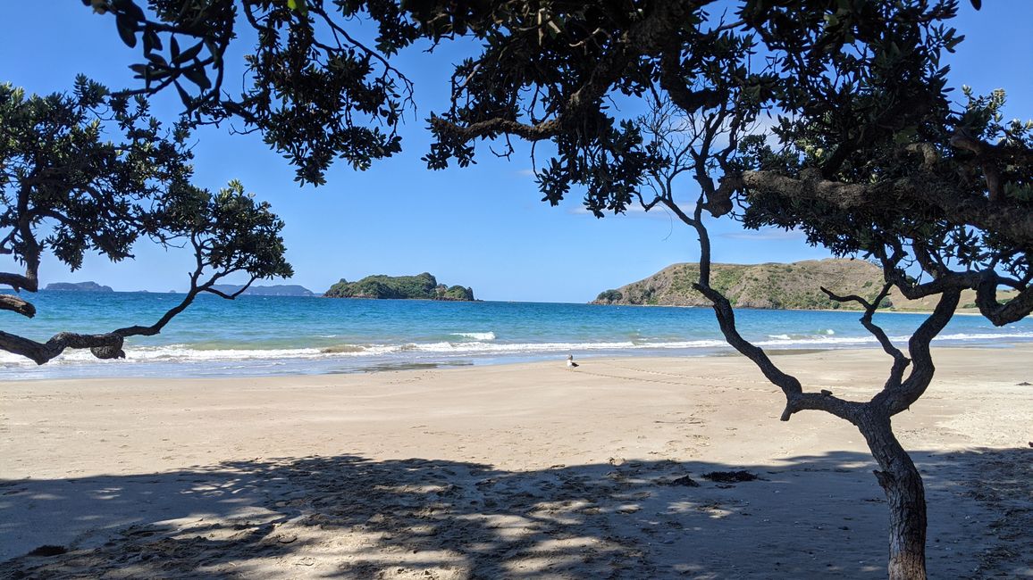 Coromandel / Playa Opito