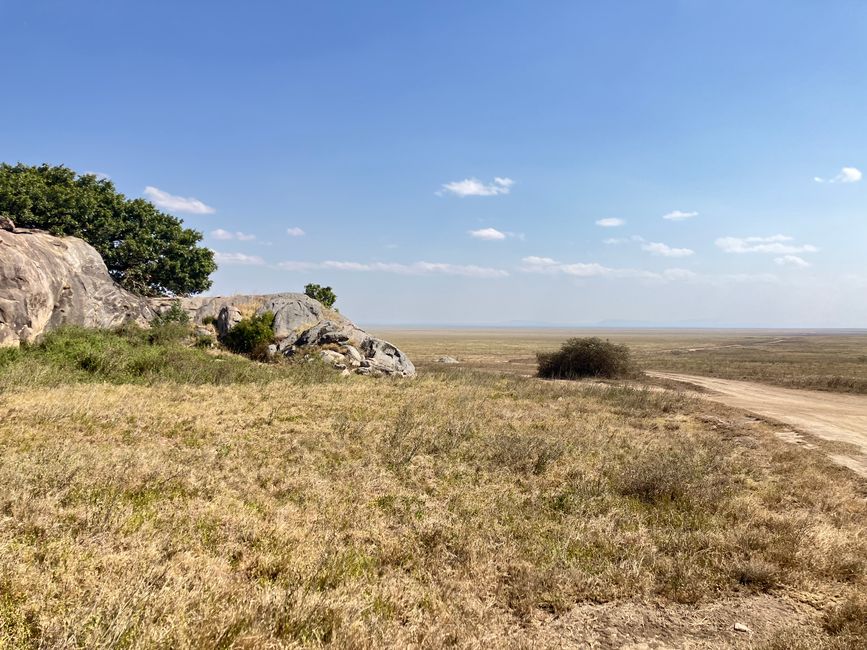 En la Serengeti - Día 1