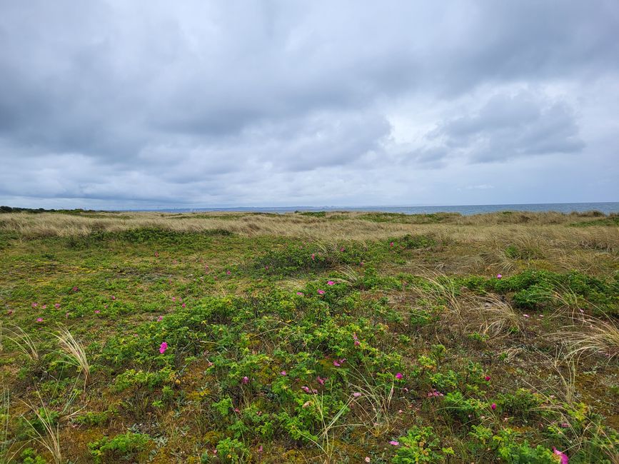 Wanderung bei Orth zum Flügger Leuchtturm