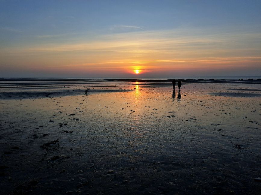 Ebbe am Plage Dannes bei Sonnenuntergang
