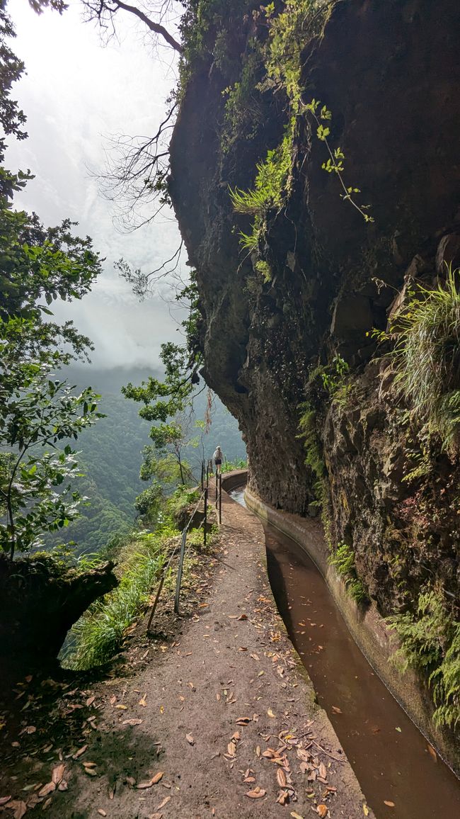 Tag 13: Levada da Ribeira da Janela & Nordwestküste