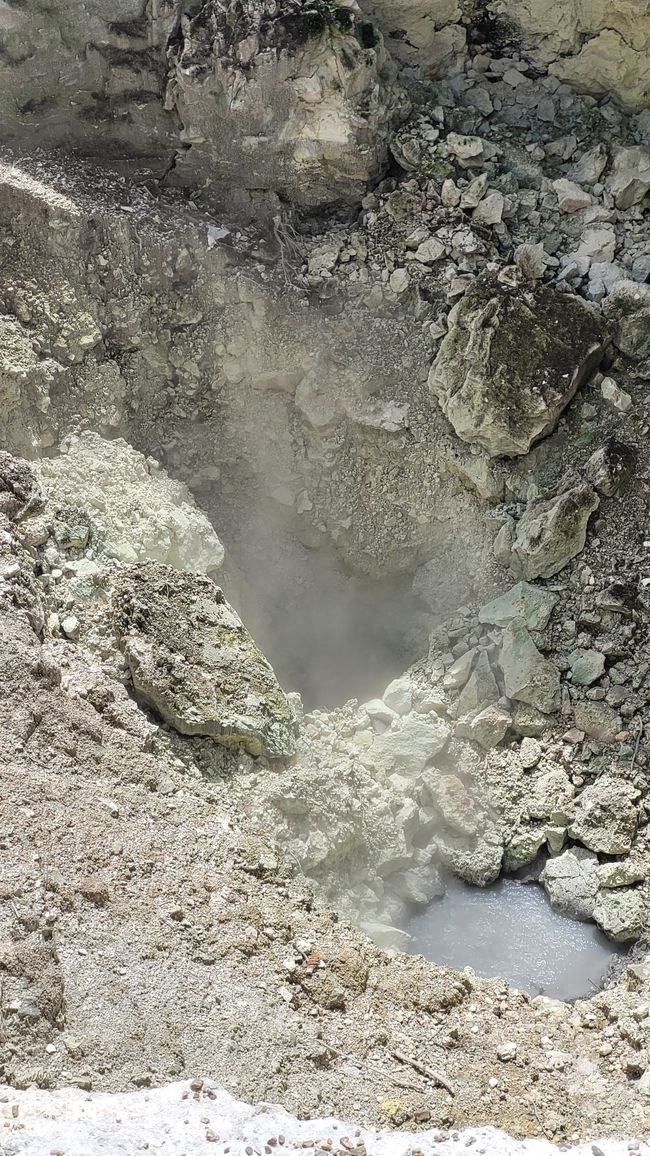 In Wai-O-Tapu National Park and at Lady Knox