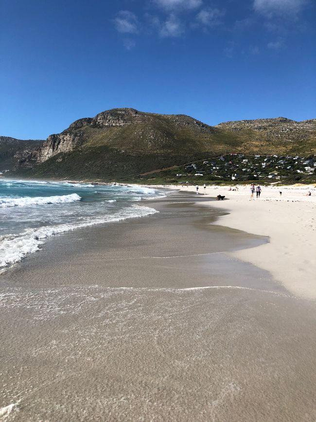 Scarborough Beach