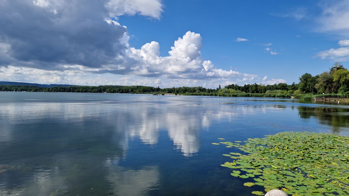 Murtensee