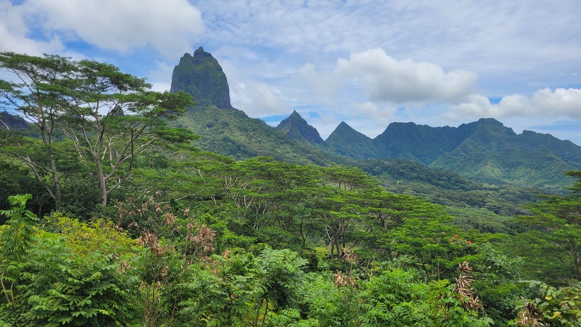 Mo’orea – impresionantes cumbres montañosas nos reciben