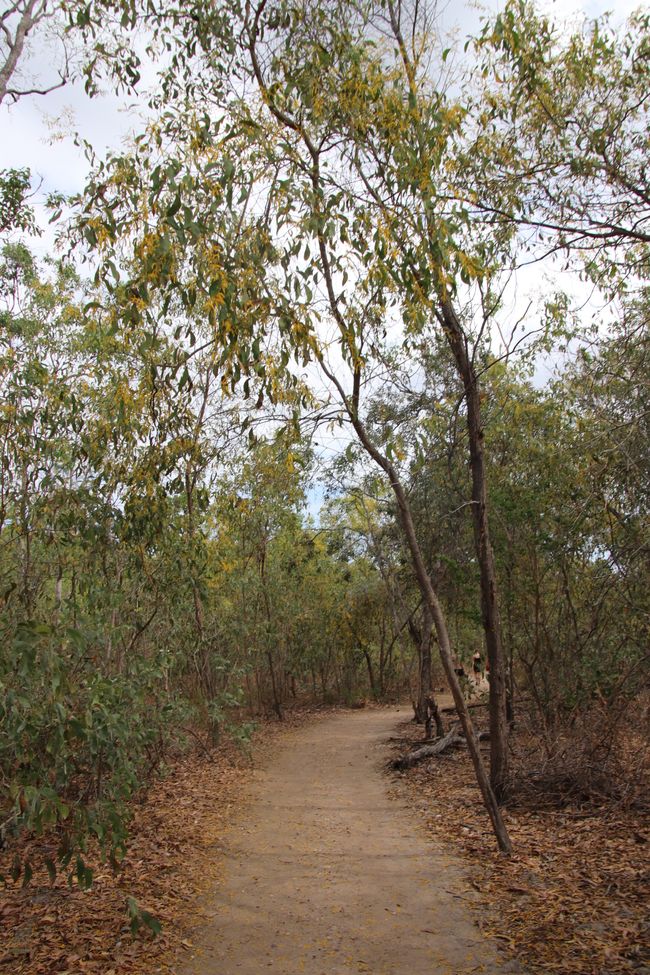 Day 27: On the road in Litchfield National Park