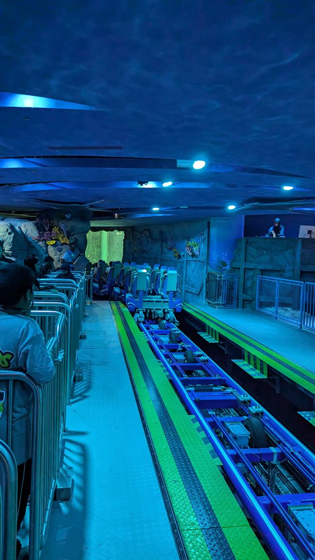 标签 7 (2024) 迪拜海洋世界与雅斯湾