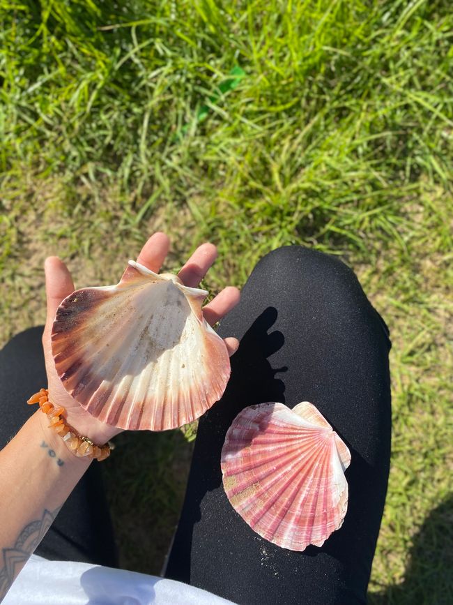 About the KariKari beach to Whangarei