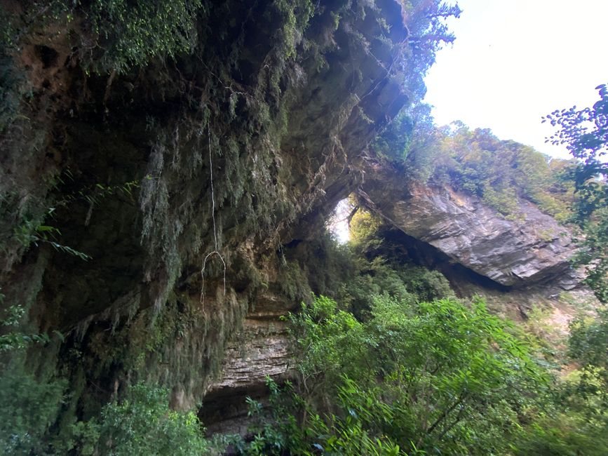Verso Karamea