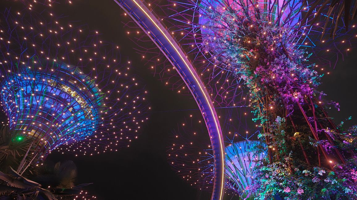 Rhapsody Show at Gardens by the Bay with the illuminated Supertrees