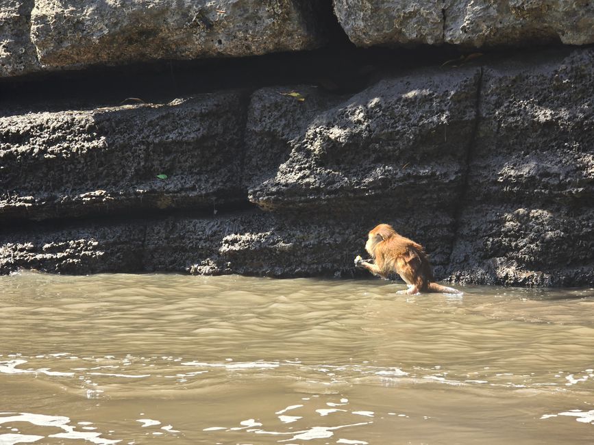 Langkawi - Reif für die Insel!