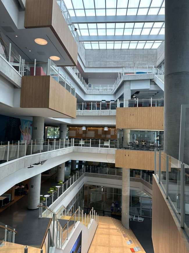 Mi universidad