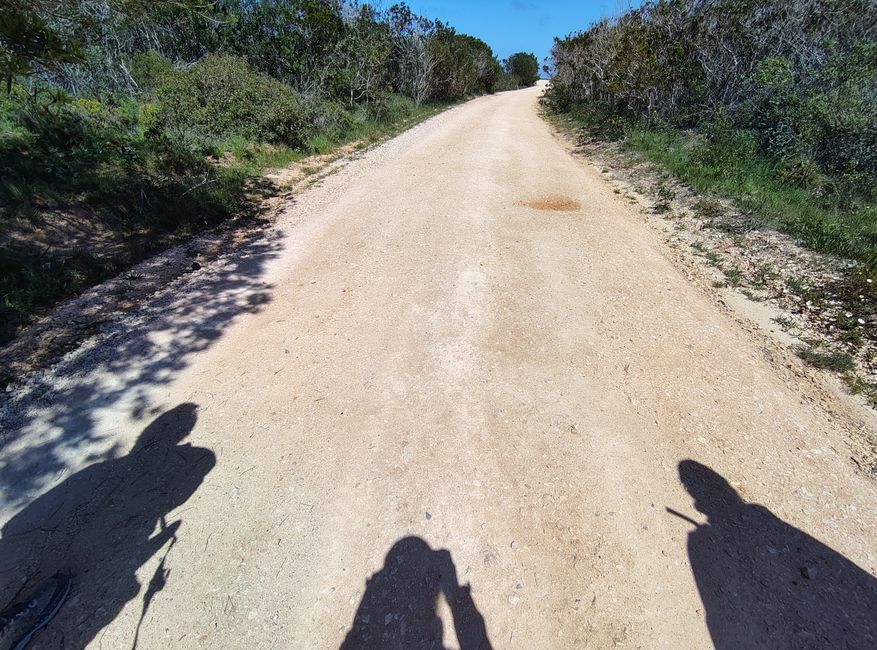Sagres -> Vila do Bispo