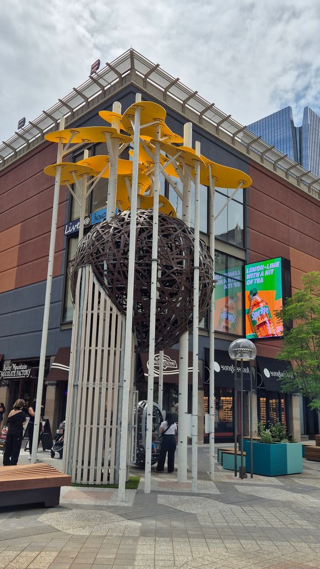 16th Street
