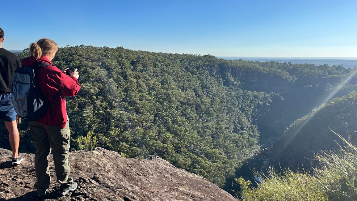 Blue Mountains