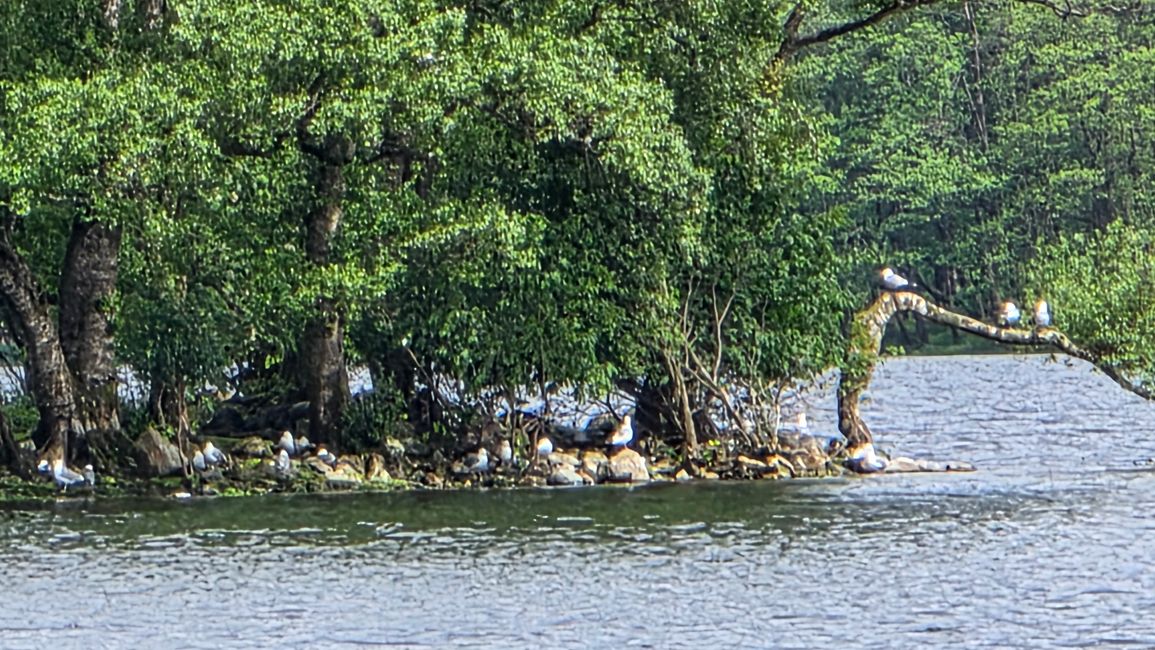 Insel Runde-Südnorwegen
13.Juni 2026