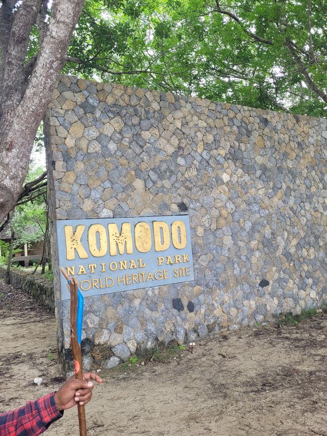 Day 110 of 175: Cruise around the world - Komodo/Indonesia