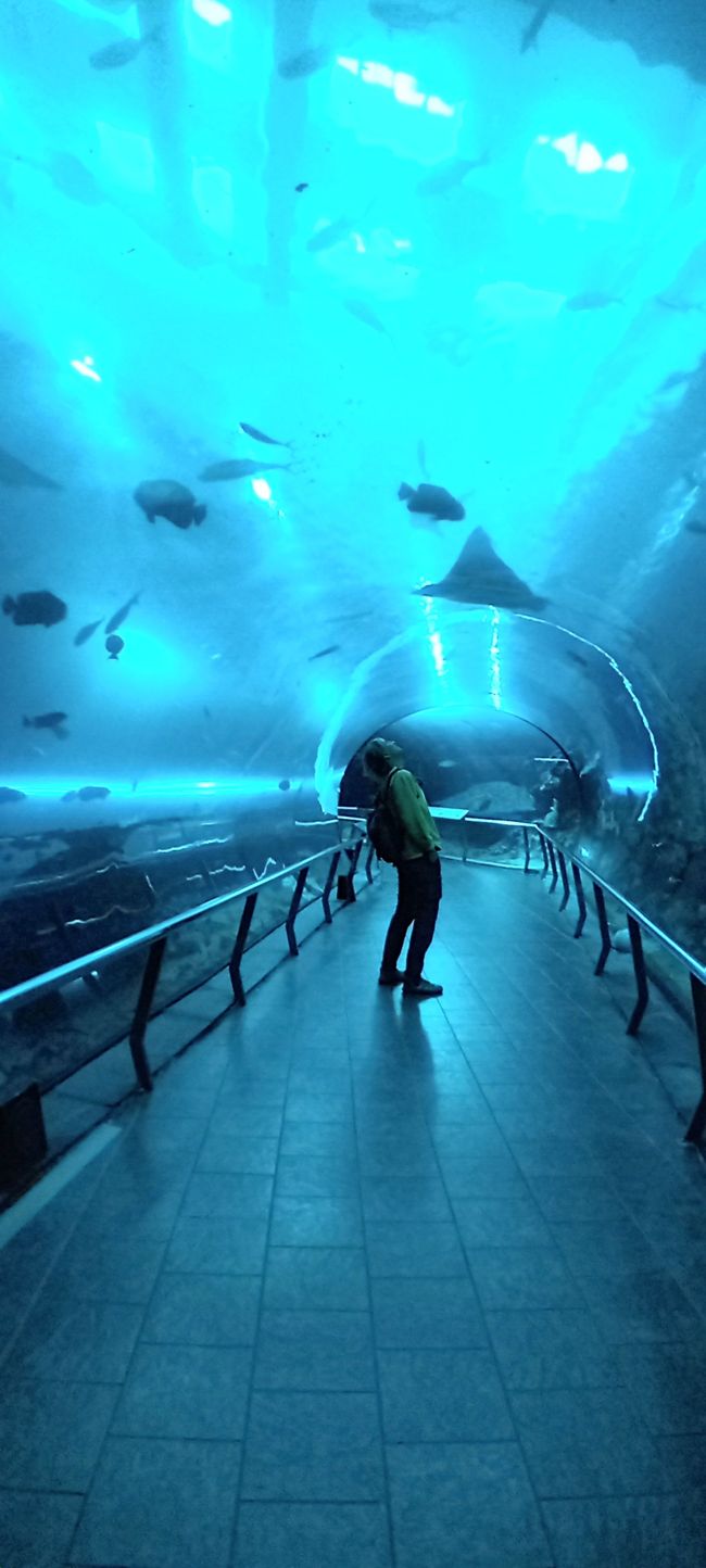 Checheng / Museo Nazionale di Biologia Marina & Museo