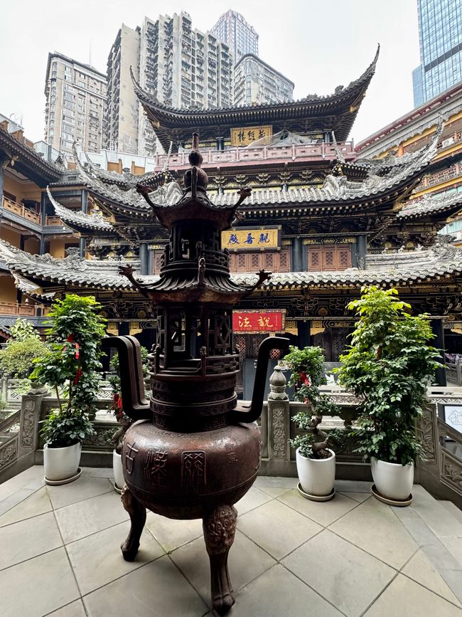 With the Bullet Trains 🚅
CHINA 🇨🇳 & JAPAN 🇯🇵 Discovering      
Part 3: Chongqing