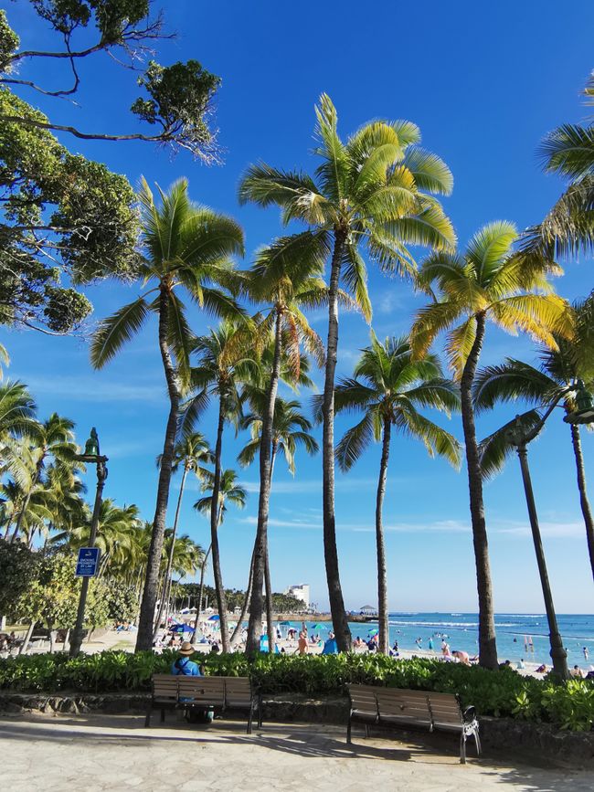 Hawaii - Waikiki Beach