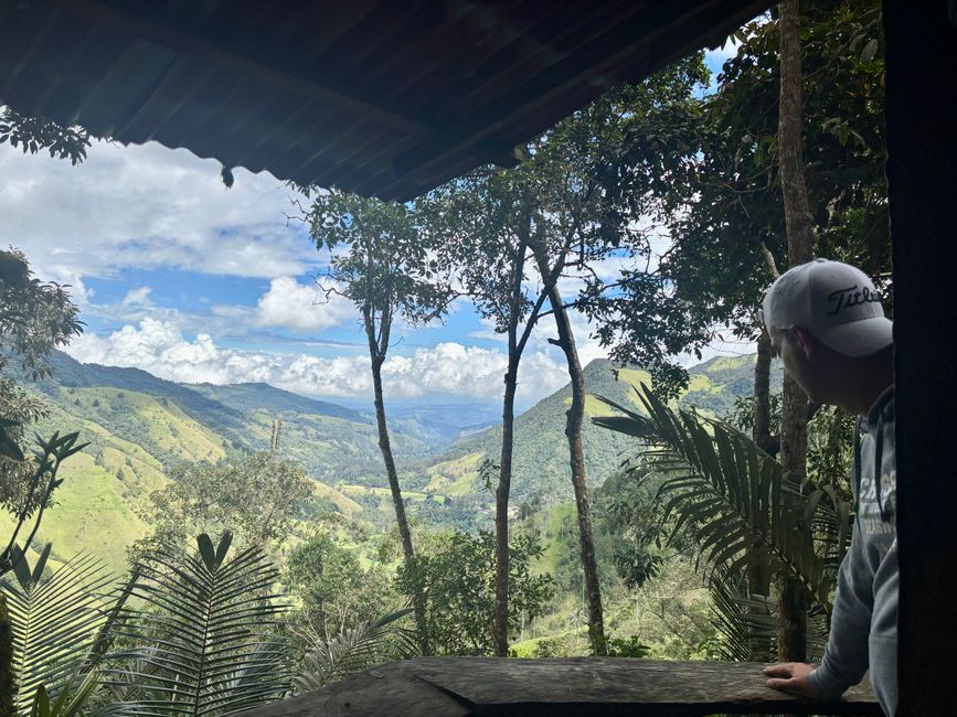 Cocora Valley