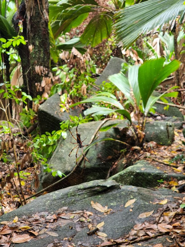 Seychellen - Tag 3: Insel Mahe Süden