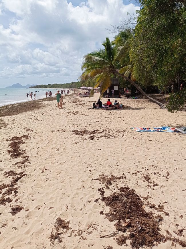 Mit der Fähre nach Martinique, unser Häuschen im Dschungel