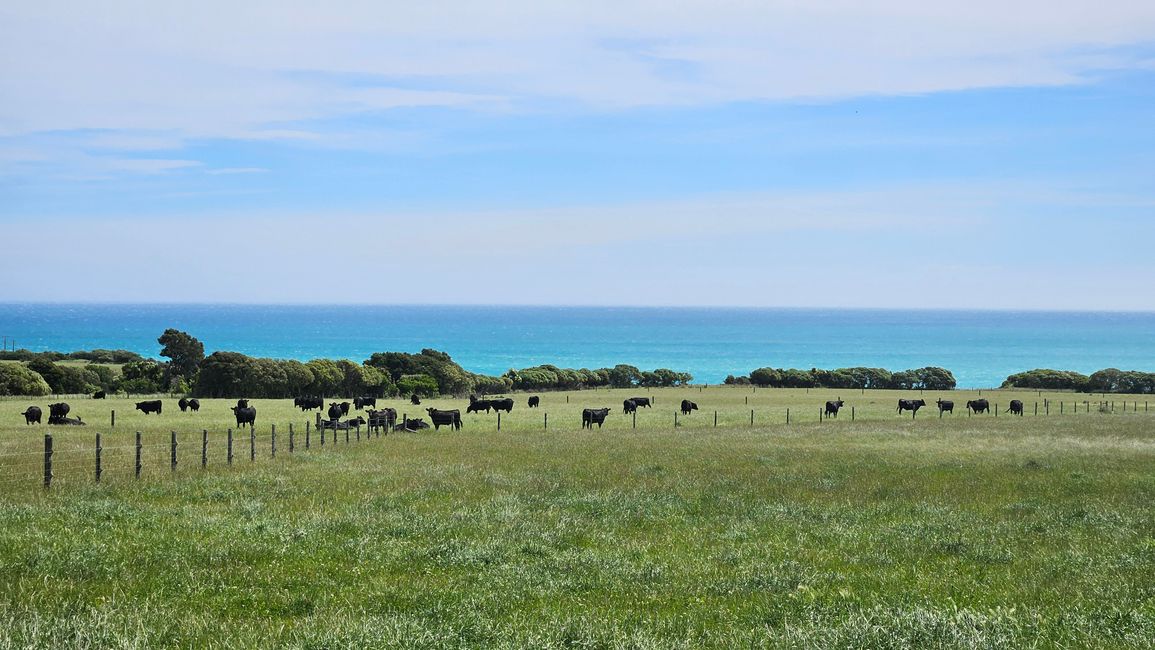 Classic New Zealand Wine Trail - Putangirua Pinnacles - Cape Palliser