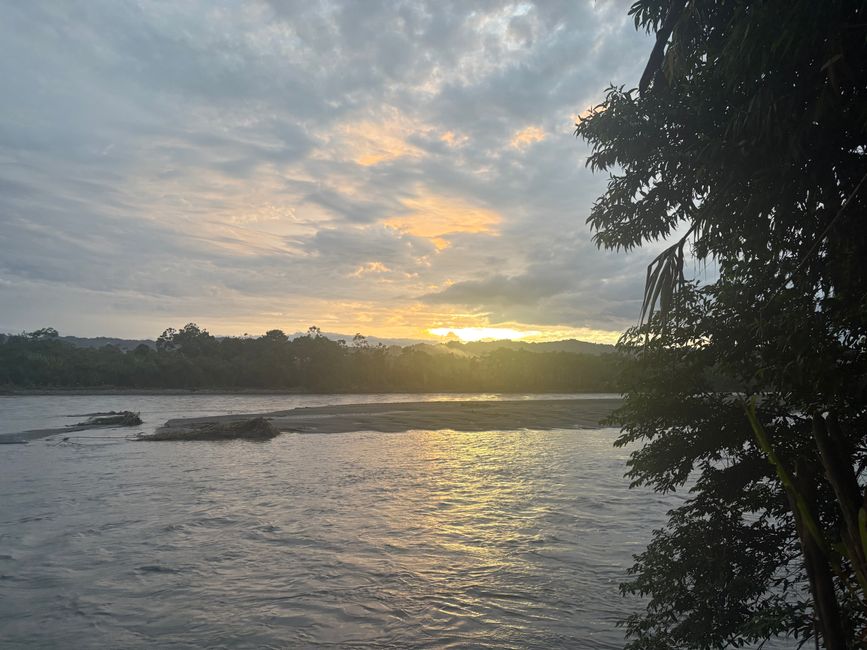 Parque National de Manu