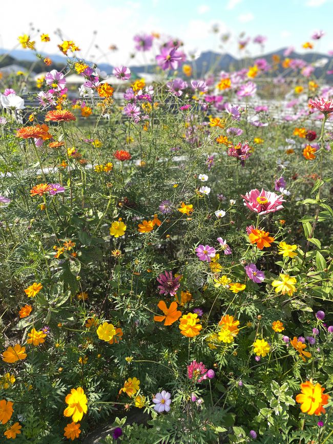 4.Kapitel: Ein bisschen vorzeitig ins Paradies