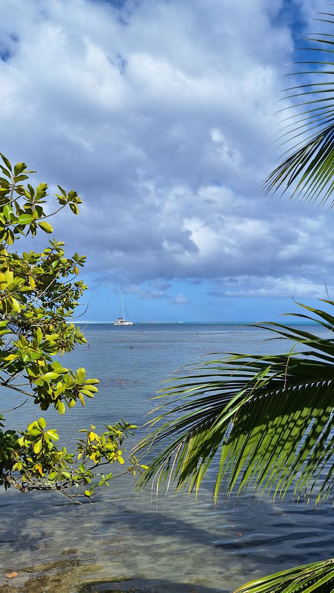 Willkommen im Paradies // welcome to paradise