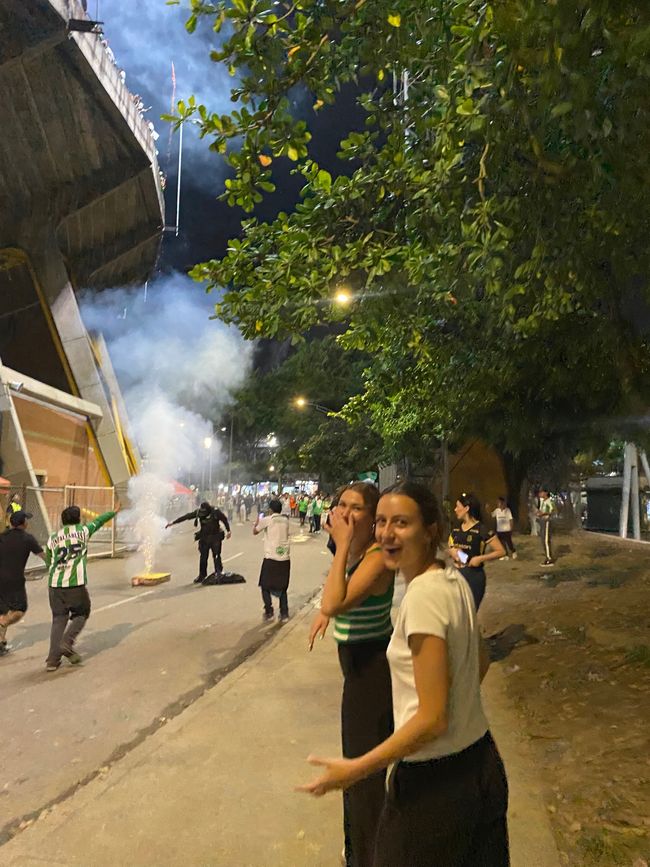 Medellín- die Stadt, in der alles erblüht?