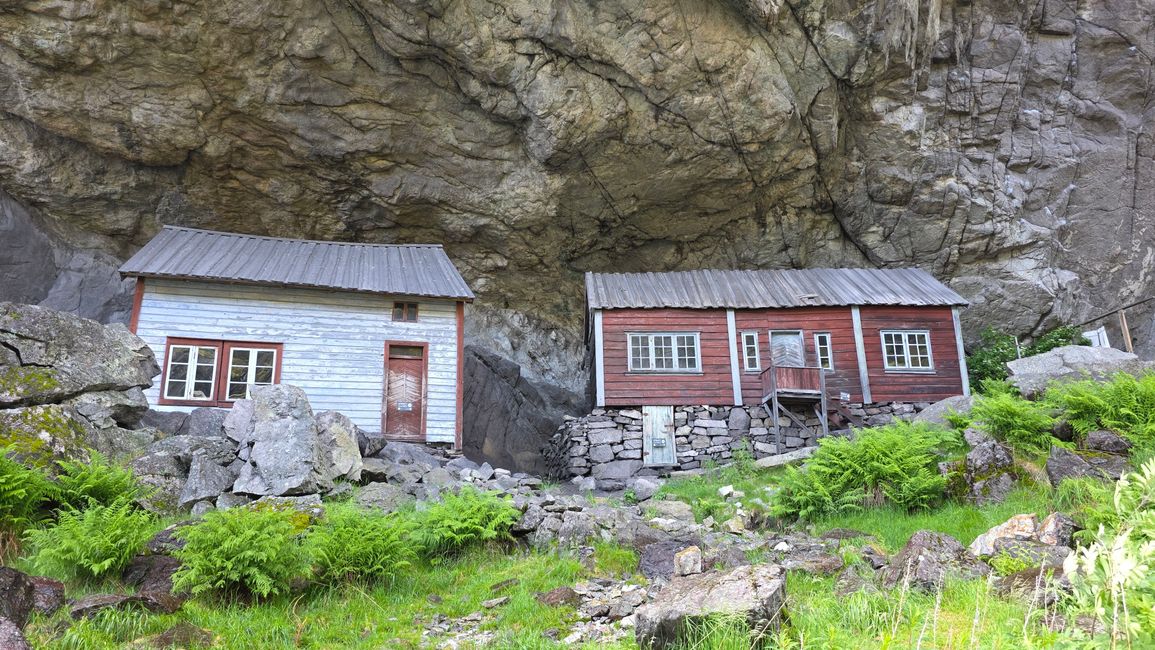 Isola Runde-Sud Norvegia
10 Giugno 2026
