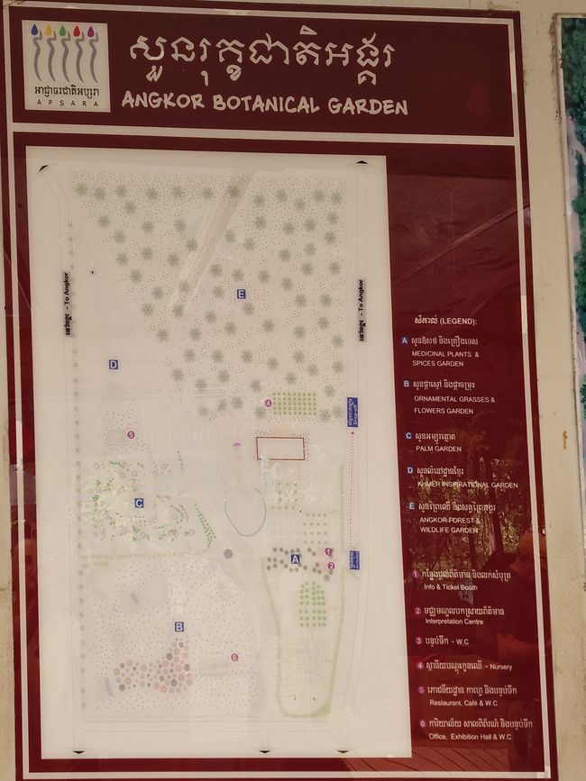 Besuch des Botanischen Gartens 