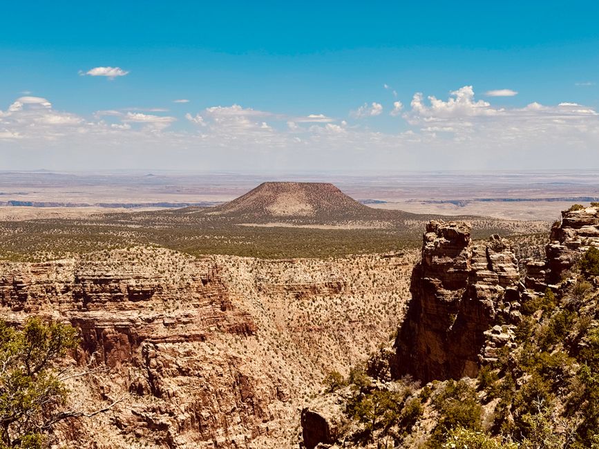 Route 66 - Williams