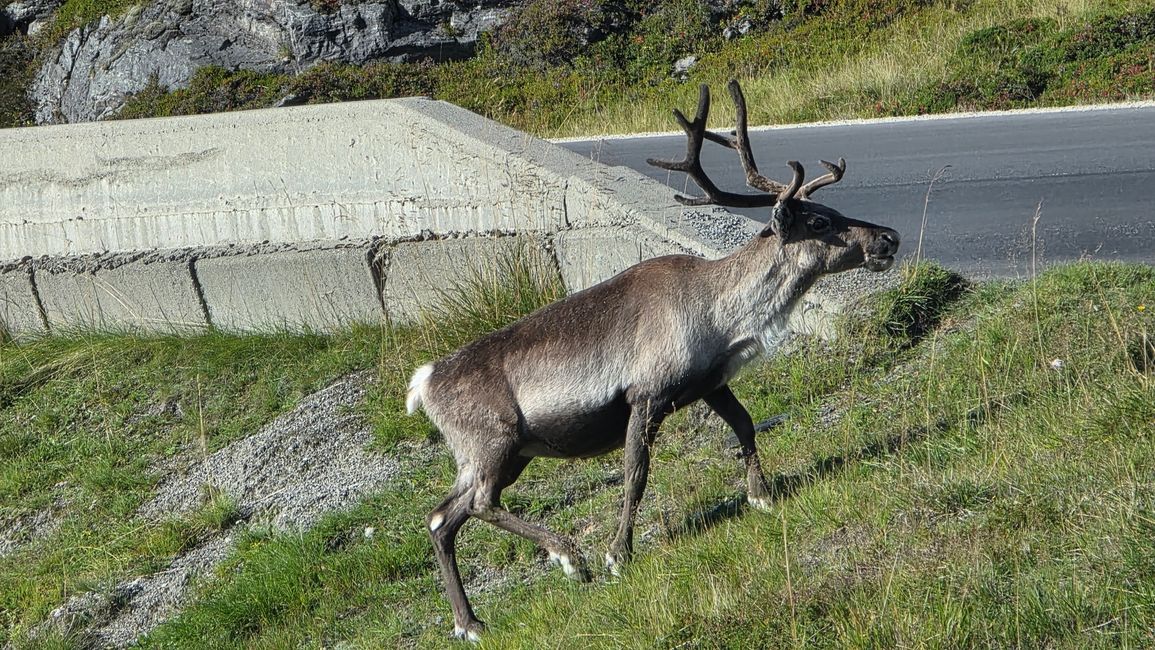 Norwegen-Nordkapp 1-17.September 2025
4.September