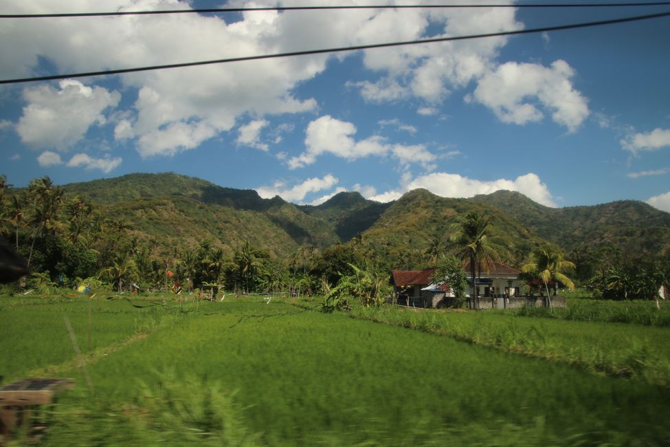 Tag 12 : En route dans le nord-est de Bali