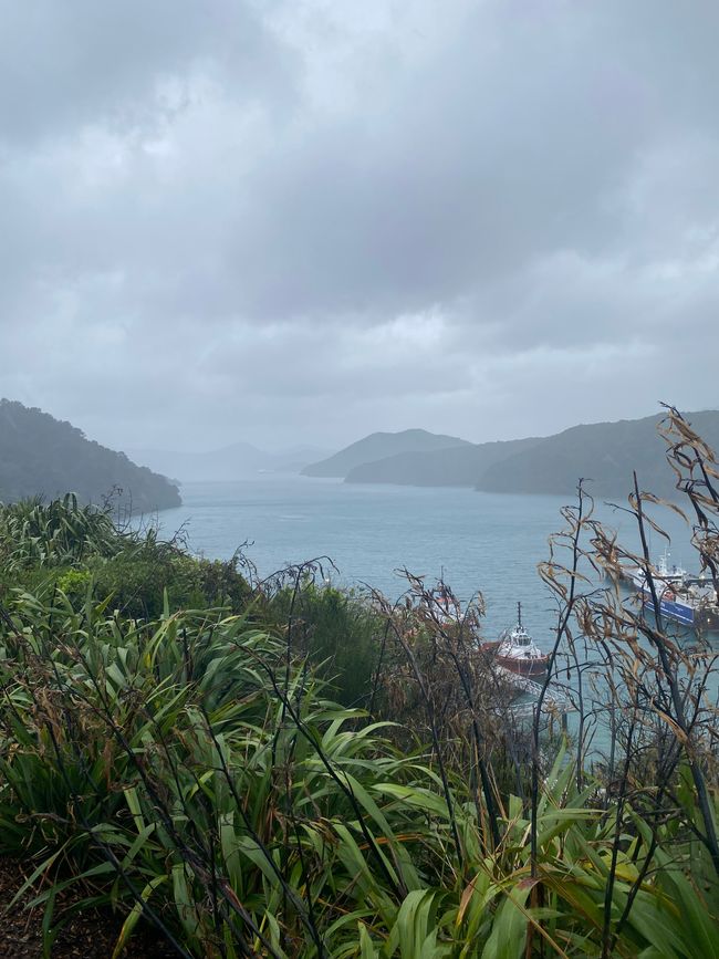 Nelson, Queen Charlotte drive, Picton, Kaikoura, Blenheim