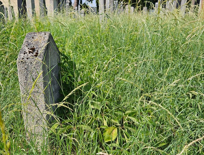 Jüdischer Grabstein im Gras