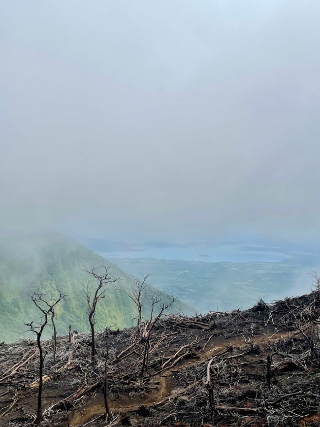 Reserva Natural Volcán Mombacho