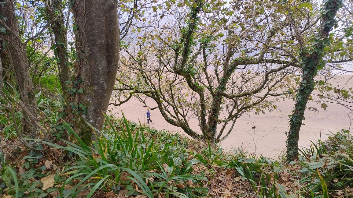 Wonwell Beach